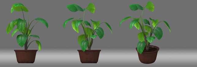 cartoon pottedplant love weekday model plant pot small 3d print model - Mito3D
