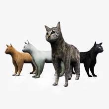 cat 4 pelliccia texture set animale nero cliché felino la grigio gattino più in basso lowpoly mammifero modello arancione gli animali domestici foto fotorealistiche poli realistici studios bianco 3d print model - Mito3D