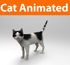 cat animated animal cute feline kitten kitty leopard lion lowpoly mammal maya model mouch001 orange pets puppy rig siamese spotted tabby tiger 3d print model - Mito3D