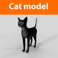 kedi modeli hayvan sevimli oyun yavrusu kitty leopar aslan lowpoly memeli maya model mouch001 turuncu evcil köpek okuma Siyam görüldü tabby Kaplan 3d print model - Mito3D