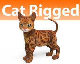 cat rigged 1 animal cute feline kitten kitty leopard lion lowpoly mammal maya model mouch001 orange pets puppy rig siamese spotted tabby tiger 3d print model - Mito3D