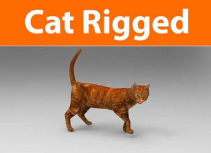 cat rigged animal cute feline kitten kitty leopard lion lowpoly mammal maya model mouch001 orange pets puppy rig siamese spotted tabby tiger 3d print model - Mito3D