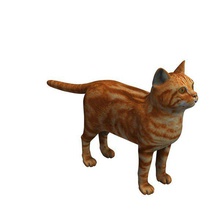 cat v1 american shorthaired animals printable lowpoly 3d print model - Mito3D