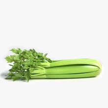 celery abramsdesign food fruit garden green healthy model nature nutritious organic plant stalk vegetable 3d print model - Mito3D