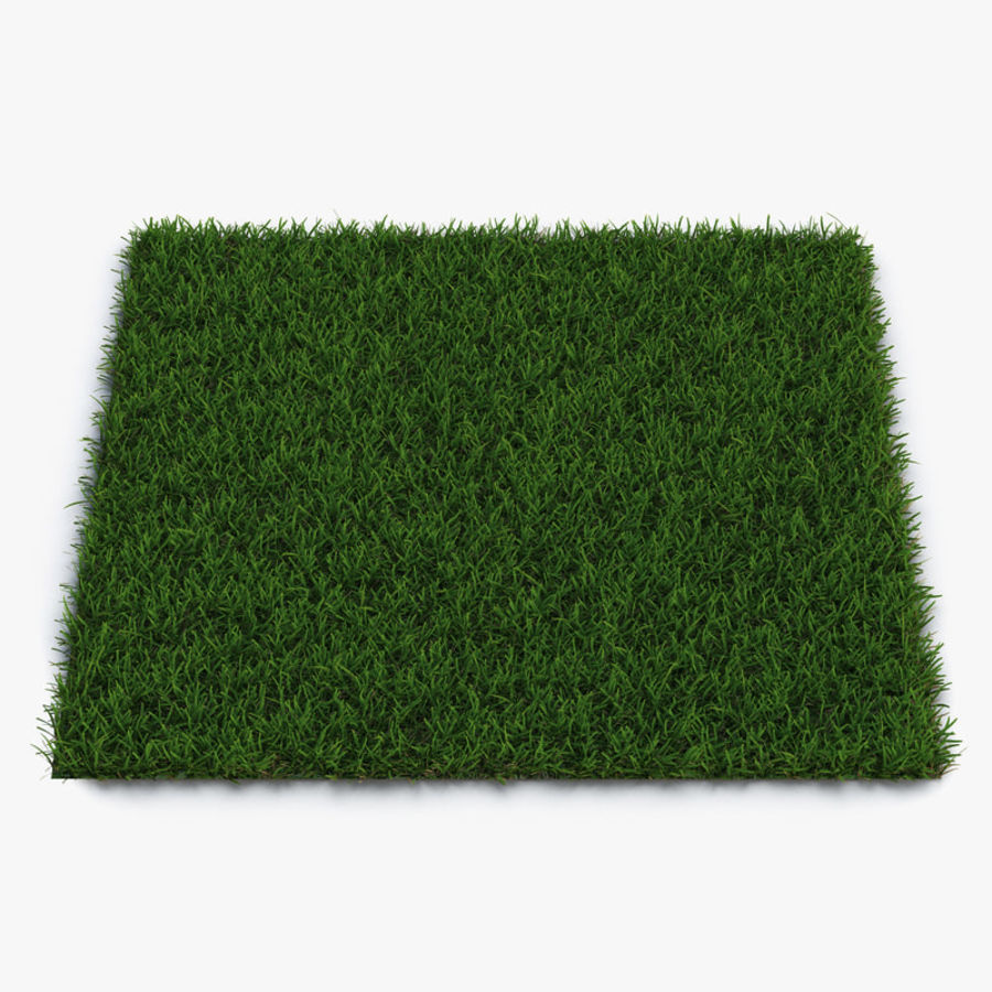 mille-pattes saison chaude herbe 3d molier 3ds le couvercle champ étage de la forêt jardin l'herbe vert sol international des terres pelouse modèle nature plein air l'usine plantation route petite terrain vray chaud 3D print model - Mito3D