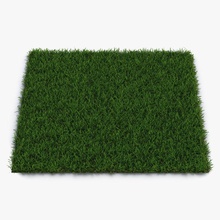 centipede warm season grass 3d molier 3ds cover field floor forest garden green ground international land lawn model nature outdoor plant plantation road small soil terrain vray 3d print model - Mito3D
