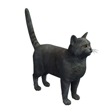 chartreux v2 animali stampabile lowpoly 3d print model - Mito3D