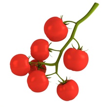 cherry-Tomaten bescec die Büsche cherry gekocht Essen Obst Lebensmittelgeschäft gesund herb Modell Ernährung Paradies pflanze realistisch sind rot Salat textur Tomate Gemüse Vegetarische Vitamine 3d print model - Mito3D