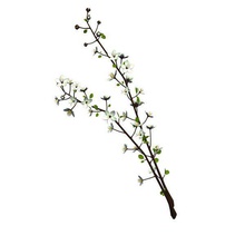 cherry tree branch v2 albero ramo all'aperto stampabile lowpoly 3d print model - Mito3D