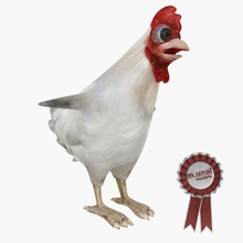 de pollo animal aves en el ámbito doméstico huevo la granja alimentos juego gallina lowpoly m unal reunión modelo aparejo gallo piel toon blanco 3d print model - Mito3D