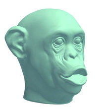 chimpkissyface v1 chimpanzee puckering lips animals printable lowpoly 3d print model - Mito3D