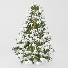 christmas tree alena fir koval model plant snow whinter 3d print model - Mito3D