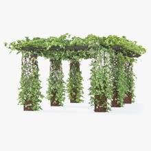 tırmanma çardak çiçek sarmaşık uzun güller 3d mimarlık artyustudio çalılar tırmanmak inşaat elemanları bahçe ev manzara model açık dışarıda kameriye bitki rose rosesivy vine V-ray'in withe yard 3d print model - Mito3D
