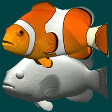 poisson clown amphiprion anemonefish animal le corail du marine de l'océan ocellaris la barrière mer toucan l'eau 3d print model - Mito3D