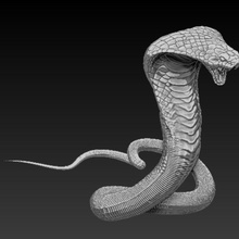 cobra high poly 3d animal la cnc haut le roi chance hunter 2008 de modèle toxiques imprimable l'imprimante les reptiles numérisation serpent solide 3d print model - Mito3D