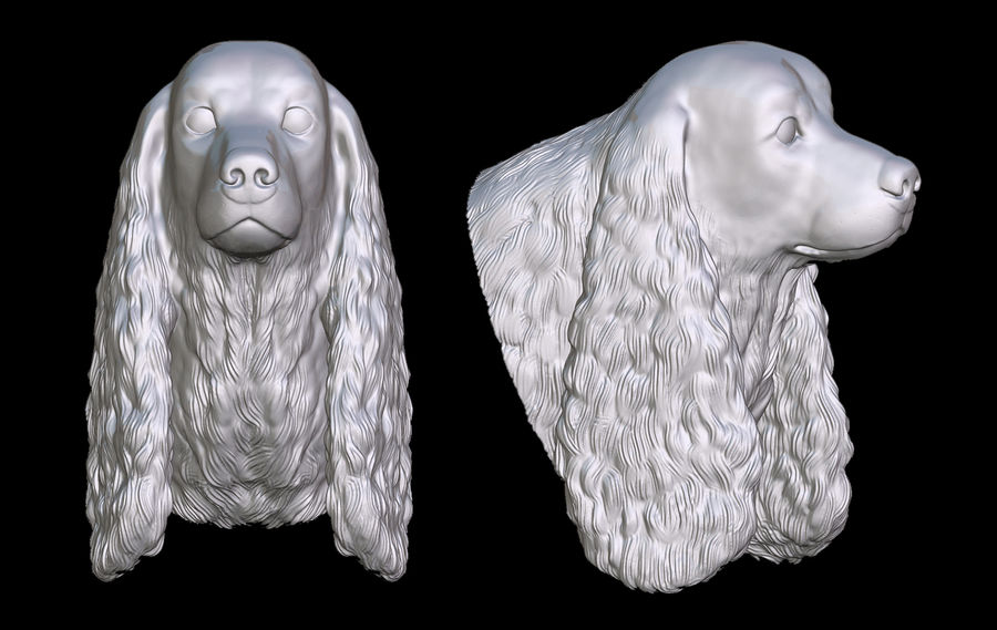 cocker spaniel head alexandr animal architecture breed canine course dog fast grey hounds miniature model pavljuk printable pup puppy race realistic run sighthound speed stl 3D print model - Mito3D