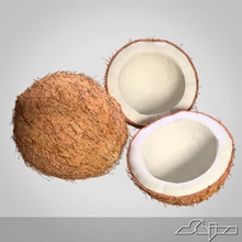 coconut brown coco copra cracked food fruit hairy husk model nut plant pod portion section shiva3d shot snack tree tropical vegetarian 3d print model - Mito3D