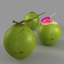 de coco la corteza bebida canache cocos beber alimentos fresco fruta verde cosecha isla modelo tuerca palma mano realista árbol trópico tropical los vegetales 3d print model - Mito3D