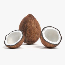 la noix de coco des arecaceae bescec cocos collection craqué drupe les aliments fruits moitié réduit dur en bonne santé cosse lait modèle nucifera l'écrou le pétrole paume main l'usine crus réaliste graine d'arbre arbre 3d print model - Mito3D