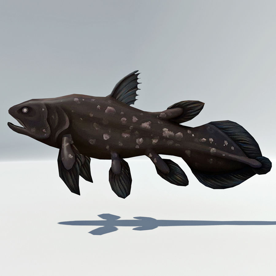Quastenflosser manipuliert - rare Dinosaurier ausgestorben Fisch 1 Amphibien Tier animalia dino indian Lunge Lungenfische Modell monster Ozean omnienergy selten razor rig Meer scharf Arten schwimmen Zähne Tetrapoden Wasser 3D print model - Mito3D