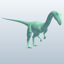coelophysis v1 dinozorlar yazdırılabilir lowpoly 3d print model - Mito3D