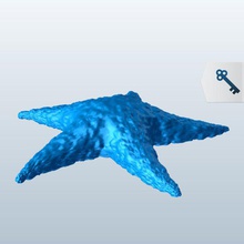 common n atlantic starfish v1 north fish aquatic life printable lowpoly 3d print model - Mito3D