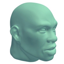 confused facial expression v2 people printable lowpoly 3d print model - Mito3D