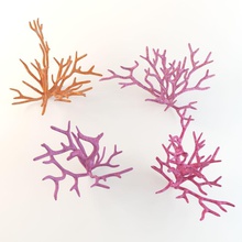 coral animais coleção mergulhador peixe modelo oceano planta pólipo ray de mergulho do mar vgvladimir água 3d print model - Mito3D