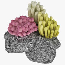 mercan ayarlayın 3d molier Görünümüdür hayvan hayat deniz max model okyanus oşinografi bitki polip Kaya küçük sualtı V-ray'in 3d print model - Mito3D
