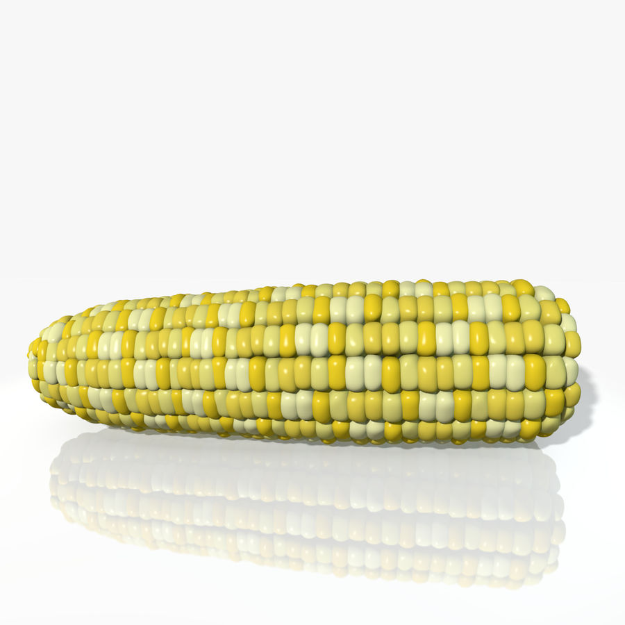 corn abramsdesign agriculture cob cornfield crop ear farm food herb maize maze model plant stalk vegetable 3D print model - Mito3D