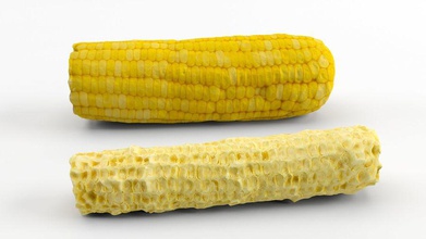 corn corncob boiling cob comb cooked corp ear field food garden lowpoly maize model photorealistic plant realistic vegetable vyvera 3d print model - Mito3D