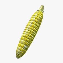 cornoncob v01 corn cob food printable lowpoly 3d print model - Mito3D