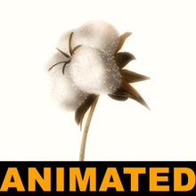 cotone aperto animata animazione bluegreen il fiore modello movimento natura la pianta piccola interrompere 3d print model - Mito3D