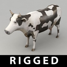 vaca animais a carne de o preto osso touro bezerro gado doméstica farm kvakling inferior lowpoly leite modelo poli esqueleto branco 3d print model - Mito3D