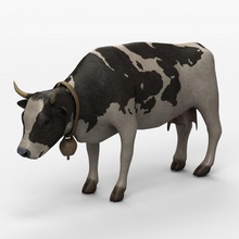 cow animal beef bovine bull cattle country cowboy dairy domestic farm fur game hair herbivore hide leather mammal meat milk model nathan ox tero vescan victor ville 3d print model - Mito3D