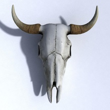 Kuh-Schädel Tier Knochen bull Charakter Kuh cowskull tot Tod Wüste Kopf horn Modell Skelett Schädel vlado q western 3d print model - Mito3D