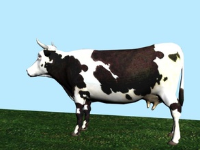 cow animal farm horse model mucca selis3d 3d print model - Mito3D