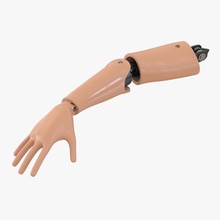 çarpışma testi el kukla 3d molier Görünümüdür android kol araba karakter kaza crashtest cyborg bebek şekil parmak insan insanımsı uluslararası bacaklarda manken model plastik gerçekçi robot test V-ray'in 3d print model - Mito3D