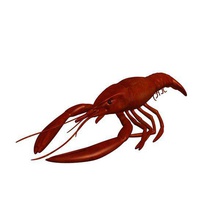 crawfish v2 crayfish cooked food printable lowpoly 3d print model - Mito3D