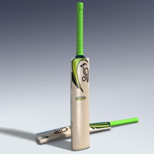 cricket bat adam Charakter Kleidung Kricket film Spaß Modell sport Sommer walker 3d print model - Mito3D