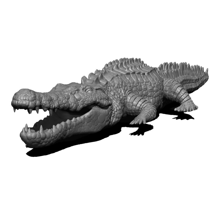 coccodrillo 3dbleader animale crocodild pesce modello rettili 3D print model - Mito3D