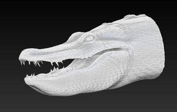 Krokodil - alligator-Kopf 3d aligator alligator Tier Architektur c4d Elemente Kopf lightwave glücklichen Jäger 2008 maya Modell morelli obj fotorealistisch real realistisch sind Reptilien russi Wissenschaft xsi zoo Zoologie 3d print model - Mito3D
