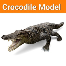crocodile low poly jeu de modèle - africaine alligator animal gros dragon les mâchoires bas max maya mouch001 du nil prêt reptiles safari sauvage 3d print model - Mito3D