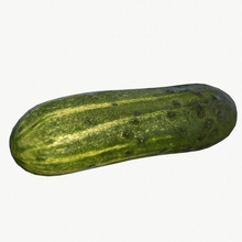 cucumber low poly 4k csmzetgames eat food fruit garden green lower meal model nature nice photorealistic pickle plant real realistic salad unity vegetable 3d print model - Mito3D