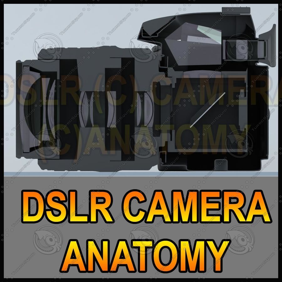 corte de câmera dslr 3dmart anatomia canon cutway d200 d40 d60 d70 d70s d80 d90 digital dx eletrônica lente modelo ni nikon fotografia reflexo único fatia vídeo 3D print model - Mito3D