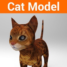 cute cat model animal feline game kitten kitty leopard lion mammal maya modellow mouch001 orange poly puppy ready siamese spotted tabby tiger 3d print model - Mito3D