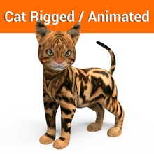 cute cat rigged animated 2 animal feline kitten kitty leopard lion lowpoly mammal maya model mouch001 orange pets puppy rig siamese spotted tabby tiger 3d print model - Mito3D
