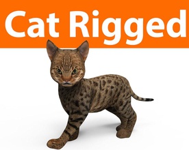 cute cat rigged animal biped feline kitten kitty leopard lion lowpoly mammal maya model mouch001 orange pets puppy rig siamese spotted tabby tiger 3d print model - Mito3D