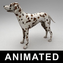 Dalmatiner manipuliert Tier Ungeheuer Knochen canine Hund hounds kvakling niedrigere lowpoly säugetier Modell Haustiere rig 3d print model - Mito3D