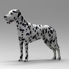 Dalmatiner 3d-wanderer 4d Tier Ungeheuer boxer canine Kino Dackel dobermann Hund labrador säugetier Modell pinscher Qualität realistisch sind terrier 3d print model - Mito3D